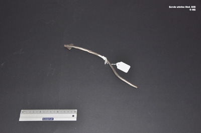 sonde_uterine_med80b.jpg.jpg